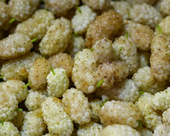 Close up of ripe white mulberries showcasing their natural look and freshness.